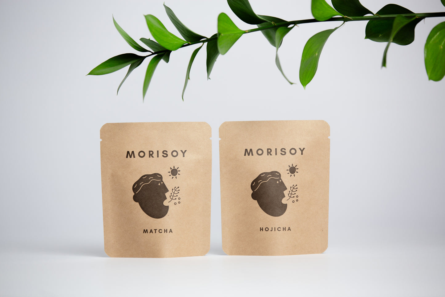 MORISOY スターターパック(6袋)